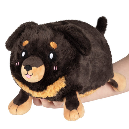 Mini Fluffy Dachshund Main Image 