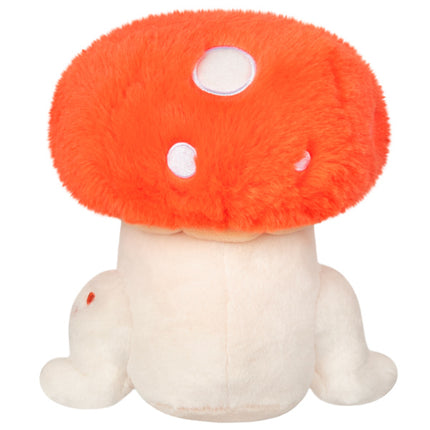 Alteregos Frog Toadstool Back