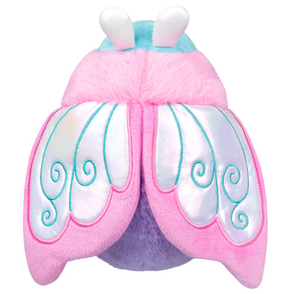 alter ego fairy moth top view