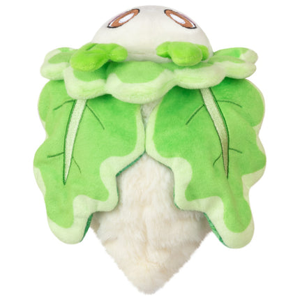 Alteregos Moth Turnip Top