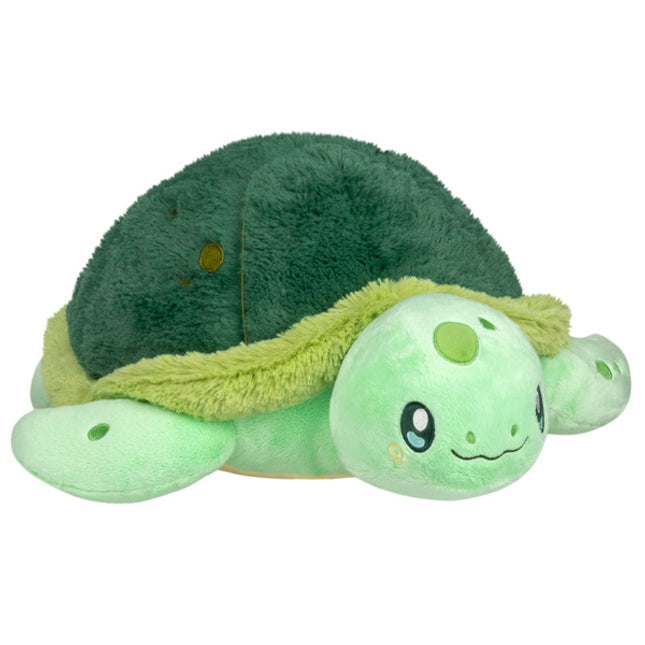baby sea turtle front view