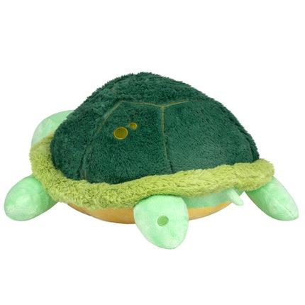 baby sea turtle back view