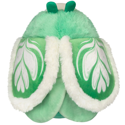 Mini Squishable Matcha Moth top view