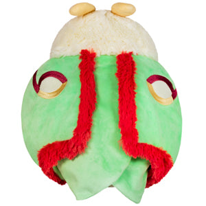 opensquish luna moth 295117 back