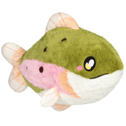 rainbow trout front image