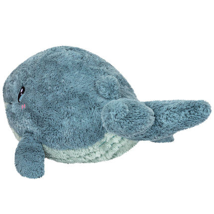 squish blue whale 15 back